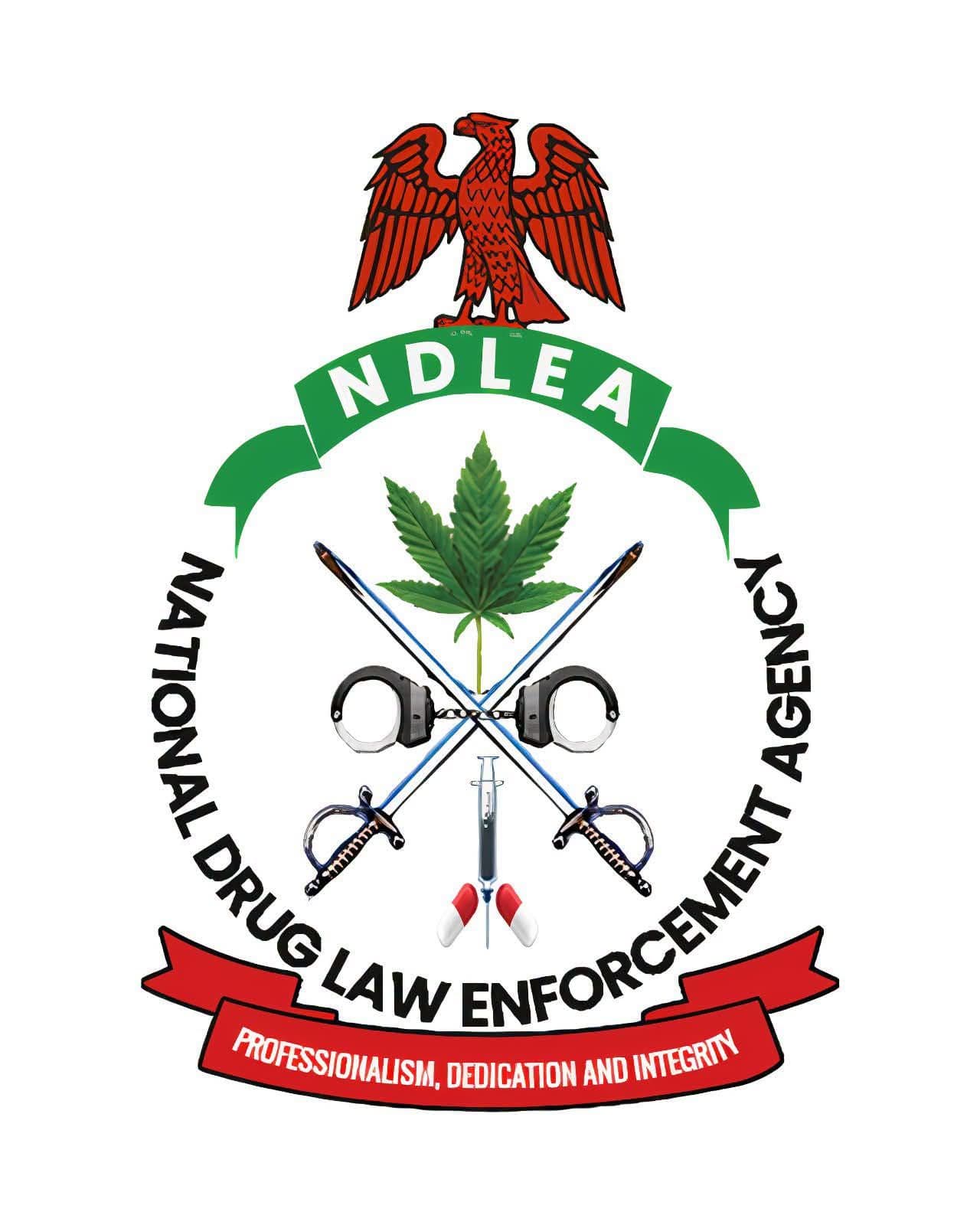 NDLEA SEIZES CANNABIS IN NIGER, DECLARES SUSPECT WANTED